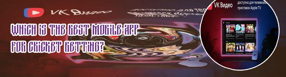 Baji bet app
