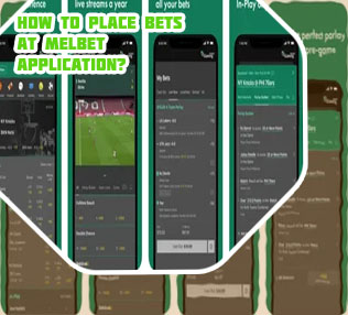 Download baji bet application