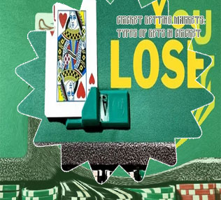 Is baji bet casino rigged bd