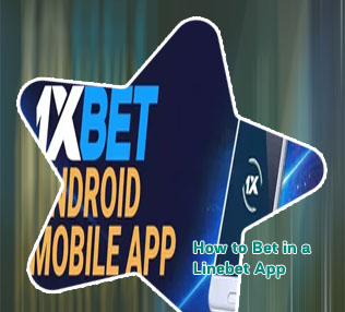 Live betting app in bangladesh
