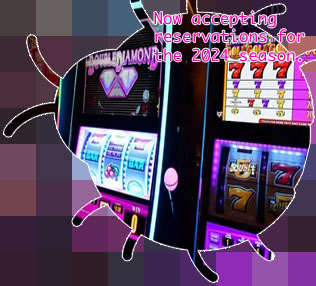 Play slot machines for money